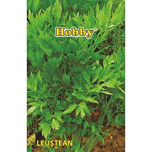 Seminte leustean Hobby