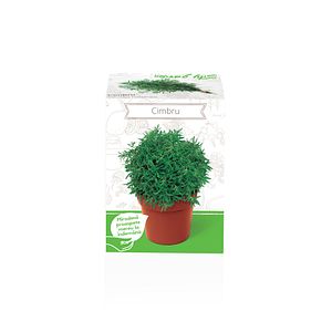 Seminte cimbru YURTA PROD, 135 g
