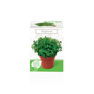 Seminte magheran Majorana Hortensis YURTA PROD, 135 g
