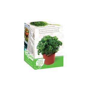 Seminte patrunjel frunze crete YURTA PROD, 135 g