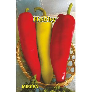 Seminte ardei lung Mircea  Hobby