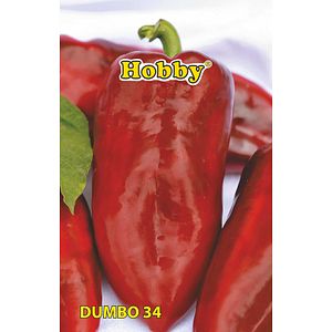 Seminte ardei Kapia Dumbo 34 Hobby