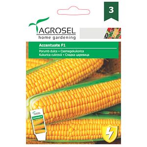 Seminte porumb Dulce  Agrosel