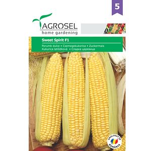 Porumb dulce Sweet Spirit  Agrosel
