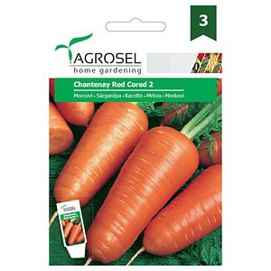 Morcovi chantenay red cored 2  Agrosel