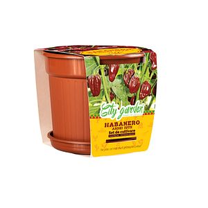 Set de cultivare Habanero Chocolate, seminte ardei iute YURTA