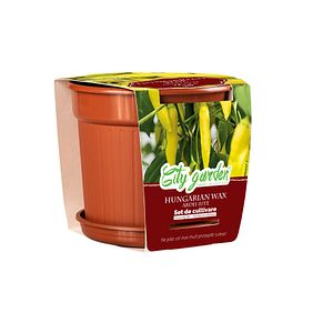 Set de cultivare Hungarian Wax, seminte ardei iute chilli YURTA