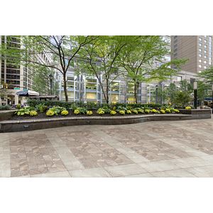 Gresie exterior Basalt, 30 x 60 cm, grosime 8.5 mm, 1.62 m2, maro piatra