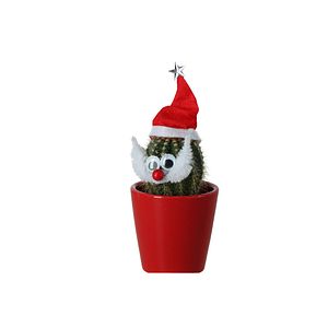 Cactus Santa asortat, 5.5 cm