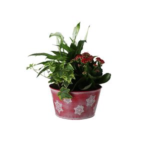 Craciun, 20 cm