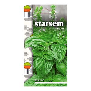 Busuioc Starsem