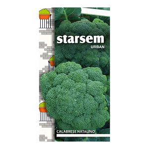 Broccoli calabrese Natalino