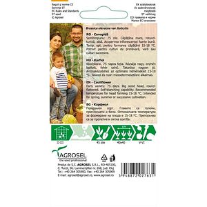 Conopida Snowball