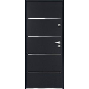 Usa exterior FORTIA Cecina, fara geam, stanga, metal, 88 x 205 cm, gri