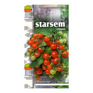 Tomate chiquita pot Starsem