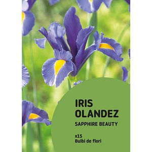 Bulbi iris olandez, 15 bulbi