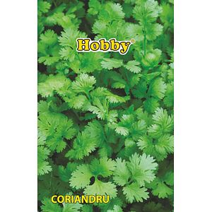 Seminte coriandru AGROSEL, 3.45 g