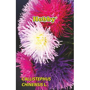 Seminte Ochiul Boului Urias HOBBY, multicolor