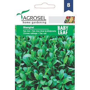 Seminte Pak choi Shanghai AGROSEL, 5.15 g