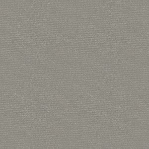 Panou antistropi GOODHOME Nepata, rasina, 300 x 60 x 0.3 cm, gri