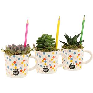 Aranjament floral, D8 cm, H12 cm