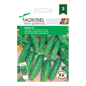 Seminte castraveti Odette AGROSEL, 5.15 g