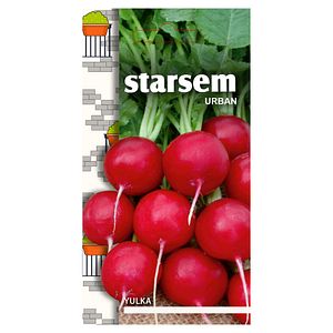 Seminte ridichi  Starsem