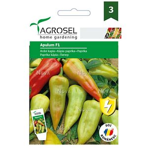 Seminte ardei lung Agrosel