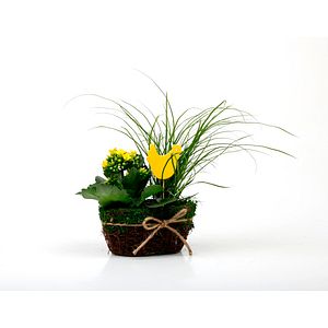 Aranjament floral de Paste