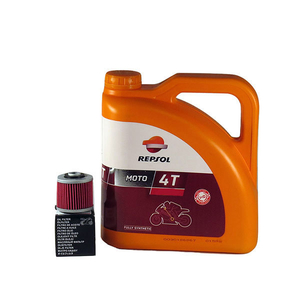 Kit schimb ulei REPSOL RACING 10W40, BMW G 650, 2006->2015